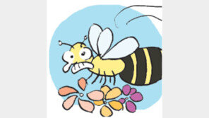 [오늘의 날씨/4월15일]그 많던 벌들은 어디로 갔을까