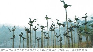 [충북]솟대! 그 희망의 속삭임