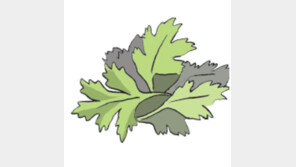 [오늘의 날씨/4월19일]쑥을 닮은 민초들의 생명력