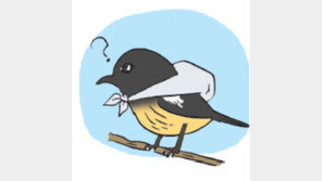 [오늘의 날씨/4월 22일]왜 새들이 세상을 뜨는 걸까