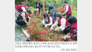 [강원]“편견을 넘어 희망을 심자”