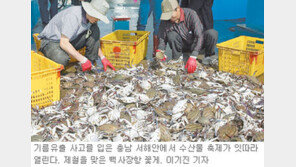 [대전/충남]제철 맞은 꽃게 맛 보러 가볼까