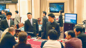 [제주]역발상의 힘?… ‘베가스 카지노’ 돌풍