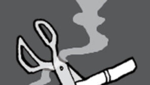 [오늘의 날씨/5월 1일]Mild as May.