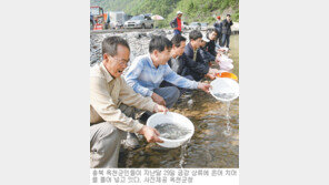 [충북]“괴산-충주호 은어 보러 오세요”