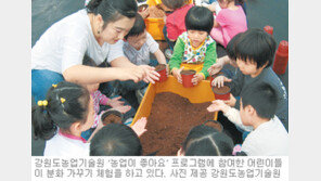 [강원]강원농업기술원,신토불이 농산물-꽃심기 체험교실 운영