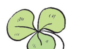 [오늘의 날씨/5월 6일]날씨는 공평하다