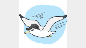 [오늘의 날씨/5월 7일]요즘 가장 기분 좋은 새는?