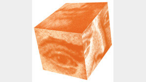 [인문사회]“그만 나오세요 ‘편견’의 감옥서”…‘바보들의…’