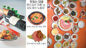 “차이나는 솜씨 - 차룽” vs “남도 맛있을걸 - 노들강”