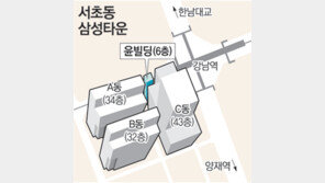 [휴지통]서초동 꼬마빌딩, ‘어른빌딩’ 가능해져