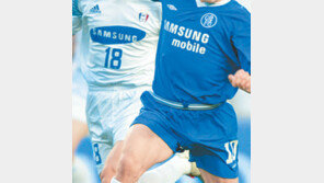 [이코노카페]삼성 “첼시가 효자”