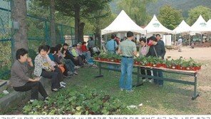 [강원]“각양각색 산나물로 별미 체험하세요”