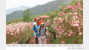 [충북]“연분홍 철쭉으로 추억을 새겨 볼까”