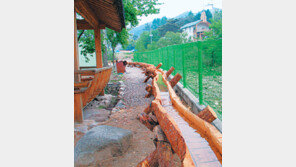 [강원]450m 통나무 수로 화제 “옛볼거리 되살려 관광객 유치”