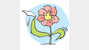 [오늘의 날씨/5월 31일]전국이 대체로 맑겠다