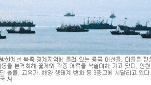 [인천/경기]풍어기 한숨짓는 연평도 르포 <上>