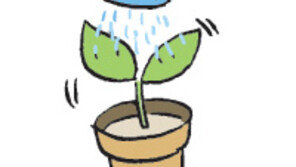 [오늘의 날씨/6월5일]믿음, 자신감을 심어주는 묘약