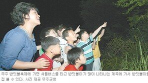 [전북]무주 반딧불축제 7일부터 열려