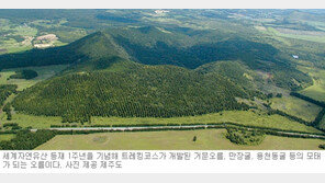 [제주]제주 거문오름 트레킹 명소로