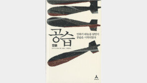 [인문사회]공습은 컴퓨터게임이 아니다