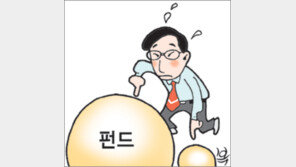 [우재룡의 펀드이야기]펀드 규모, 커도 작아도 문제