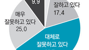 李대통령 국정운영 지지도 20.3%