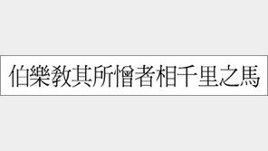 [한자 이야기]<448>伯樂敎其所憎者相千里之馬