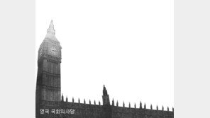 [인문사회]보수정치는 어떻게 살아남았나?