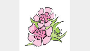 [오늘의 날씨/7월 2일]한들한들 분홍 패랭이꽃 피었다