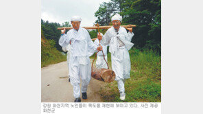 [강원]어깨에 나무 메고 힘합쳐 “아자차 어이~”