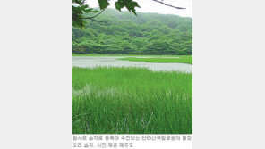 [제주]한라산 물장오리 습지 ‘람사르’등록 추진