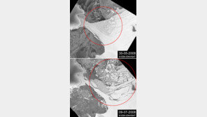 [포토]남극 ‘윌킨스’ 빙붕 붕괴