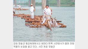 [강원]“올 피서는 동강에서” 동강축제 31일 개막