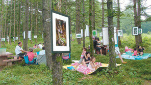 [강원]투명한 카누타고 해산물 따볼까… 고원서 영화를 볼까