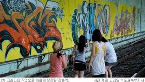 [강원]강촌역, 예술이 되다