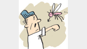 [오늘의 날씨/8월 4일]400여 년 전 모기와의 싸움