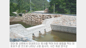 [강원]하천에 소형 침사지 수해 예방효과 톡톡