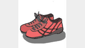 [오늘의 날씨/8월 16일]기록은 과학과 함께 달린다.