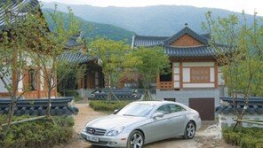 [Car & Travel]함백산… 만항재…야생꽃길의 끝엔 ‘운암정’