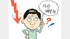 [우재룡의 펀드이야기]자산배분형 펀드의 허실