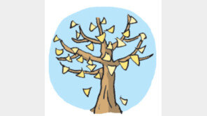 [오늘의 날씨/9월5일]변신 준비하는 나무들