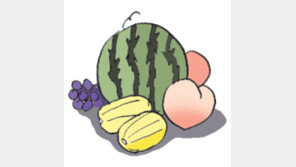 [오늘의 날씨/9월10일]포도맛은 지금이 절정