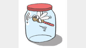 [오늘의 날씨/9월17일]잠자리 잡으러 떠나볼까