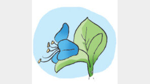 [오늘의 날씨/9월18일]구름 저편에 파란 하늘