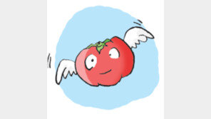 [오늘의 날씨]토마토 한입, 가을 즙 한입