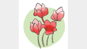 [오늘의 날씨/9월22일]사무실에 가을꽃 한송이를