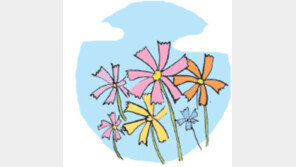 [오늘의 날씨/9월23일]여린 듯 강한 ‘가을의 꽃’