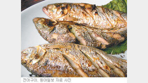 [대전/충남]전어가 왔다, 며느리도 왔다