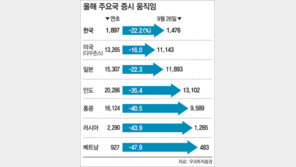 [맞춤 재테크/펀드]널뛰는 브릭스 증시… 반등할때 비중 줄여야